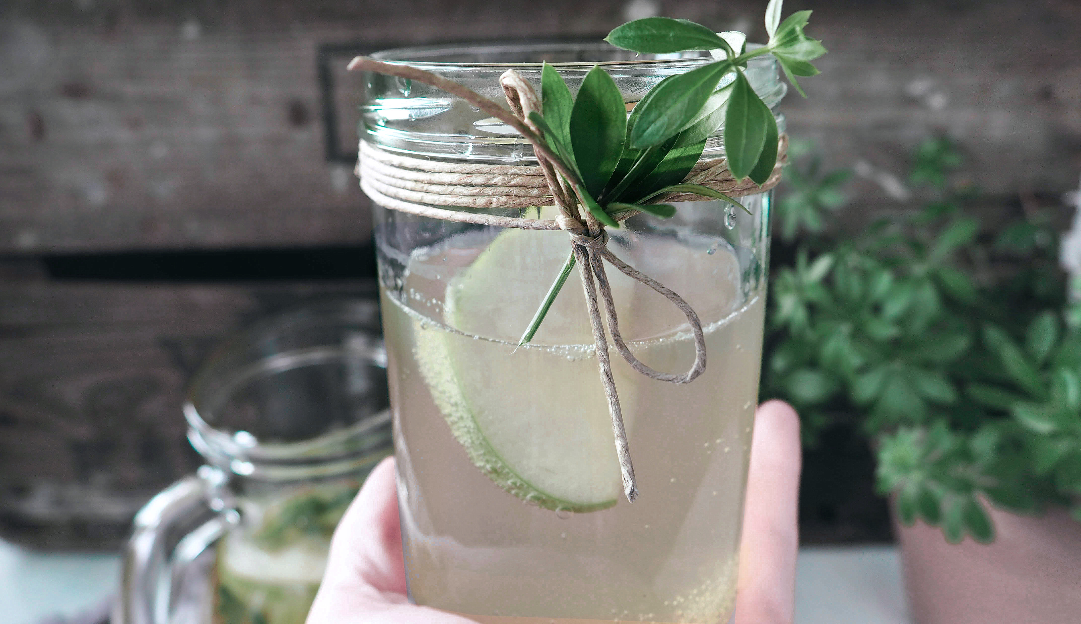 Hausgemachte Limonade - Waldsinnig Food-, Design- &amp; Lifestyle-Blog